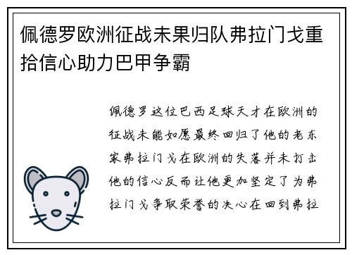 佩德罗欧洲征战未果归队弗拉门戈重拾信心助力巴甲争霸